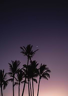 2023-10-25/67c13318dd1e8fab7ac1ce3fe8dc8478_79e48669ec15962039e8530ab0510caf