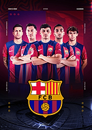 collection-preview-0