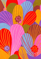 collection-preview-2