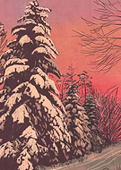 collection-preview-2