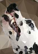 2023-10-31/8d75790e335eeb92b3dc5c00e85f8568_2cfb254fe0a450629bbfecd0764973f1