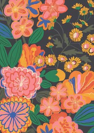 collection-preview-1