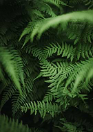 2023-11-01/b12505c18eb656d6c9be212c3bb6530a_5345f52623c3b1bcb98529fcc696d522