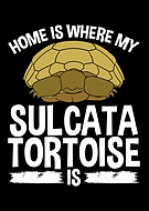 2023-11-04/867bd62359f5298b68e63cd07de9ebd9_88bd6f4172f9efe3695b527e4614ecdb