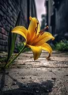 2023-11-04/d450fb9714caabbb69ed078b08e07b39_0924c0fa7341d611c4899cbd8a0f47b6