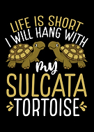 2023-11-04/d4865a56d5e351972d6b8d83c60f2822_60a4f6e6ab37db9d0967dbe373f259ee