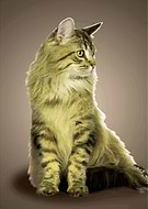 2023-11-04/e6ad17b247e22578ba31c20866700b0a_ec7de1eaf37a012e448568494c50f700