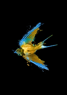 2023-11-07/0769bde4e3a685033f4255517a96641d_af28dc0befb6db368d77918be81e5b6d