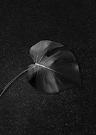 2023-11-07/18f1d1b00a84d3e22b9b6690c9d91047_8d2871232b1e2d3ad20457319d15e95e