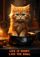 2023-11-08/04faa65073ef4f47d043abc37c8c3b85_ea987c970ace2c44c5e211d5edc7966f