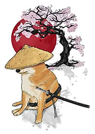 2023-11-08/9516b5e2c62c3bd9fe095af41566e00d_cd11fa1dff07446eaa0b3f2194ae4882