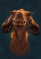 2023-11-08/b3d4b036344a9b5ba090f75415d2ab9e_d7f215584034b8ed26e24539053e03ec