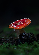 2023-11-08/cd6c6a370bab4a1ff1bbc3de09a23975_84562cccb8261cbd6c0afe88747fea8d