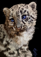 2023-11-10/afd661362801740f0046be18d677aa82_656330129ed2937c5db9c33e21b1e0ed