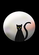 2023-11-11/635c8da3395bfdee6eeb18eb2aebe07f_83fd87b9356ac4a2908fbe031cf1fbb6