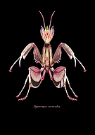 2023-11-11/8ab37f7c4336b84e158a75748a0e819b_19e49a3dd659dea5ffa784f3a42069cc