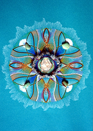 2023-11-13/e6cea4445756cc74cd477079ce4b8dc3_a5c45284688aacaabf8018cb8089bcd1