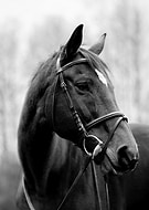 2023-11-15/4a07e26a5cde6cc8012674e47aba7b00_22e13afdf4bbd577c6553c8cbc4ce706