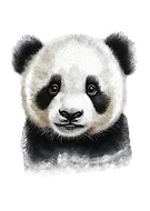 2023-11-16/5dec46f47b2a0bf5b62d5b0bca51068b_e771d1a296cd85b6237be69f1533fb9d