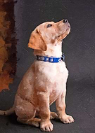 2023-11-16/f9688d3818984c54da39abad017437b9_2f8e4b36955cd9a0e7933fb581be9e8f