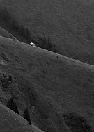 2023-11-17/3f8a5385841cfdc075494c1aa0e2bc7e_c7a9f41c6b5a970c8da897860d2b48c7