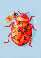 2023-11-21/04b25e8a2b909ba600419fff7a6753a8_68888cb0266fddd91d3b7467009c89d1