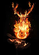 2023-11-24/2c8a3742033fb490d33c1a2f2b4f6366_39ba3766e0acb5db195a8c04293512cf