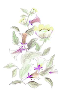 2023-11-24/c2e76d998dd6a49f3a1460ac27dc48d9_559a23f7141fbb09400663053bf3f166