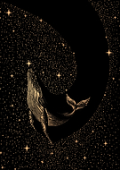 2023-11-26/e6579763f68da783ee4463174e26e0c2_50bf19b44887be0c0f63d97e6ce1a9f5