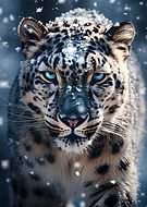 2023-11-30/ab836f05d7c60b5e1d8c543f193731dd_e5380e395b7dc4b6dcb3a2277a9fa73b