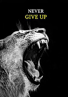 2023-12-01/8f68119b68d2dd64e6d00fe33cb8350f_f6f460051a440b3c97f2aa985fa7b118