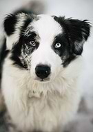 2023-12-05/7f366c58f259a80e5714591694a9185d_7706ada4b4a5b452b0ee0d796819e93a