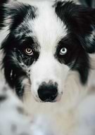 2023-12-05/ab2a81e10077ab495f387d654dc1feeb_a2b9cc0ad01153229b12f0ac8ed96f4a