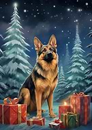 2023-12-08/c923a2a99089eb56647c49e94eda5861_76162f3e62cd3b3c3cf4249fd0bdfaf9