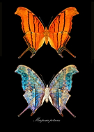 2023-12-12/c8328bdbf09988082e4b25ac009aea98_327bfc8d1cbc95c15bc6f6c70bf88cde