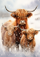 2023-12-13/ef074c3ed84f9327b9057ebb3a670932_c1bdf0563c3fcdbbe375ee23d783c14d