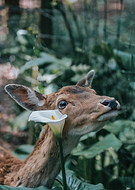 2023-12-15/3073d37db65e0bcb326404745fc1d08b_66d00db58d7c27894b182720fed14f28