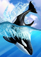 2023-12-18/8c995a626bdd1b9da0373c19be462261_d80fa142b6f9accd6cf210517c61031e