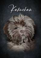 2023-12-18/b64dcc45a09ae3b2a8fbb866f5e5591f_f95a36c5210d7e9b5a4f480c72901295