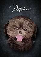 2023-12-18/ba3c5f6448f5793bd361a2bbe63b924c_30221f78cdf1f960cdc6df15c94ff650