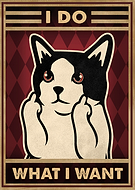 2023-12-19/83bf13d3032c854237258600211bbf9f_a6ca384620eb6c479782645f4496563c