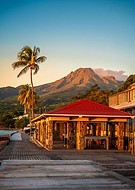 2023-12-20/ef1497184a81dd7ecd2a064fcef3ee97_78a8f238eebaf351da6c3d4384a28e6c