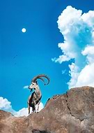 2023-12-24/907449e6581cf3b51e7138bfd44b90b9_a79263e2d67a69cb306e8d4ef371fdc5