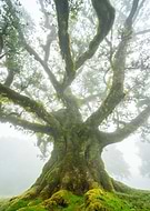 2023-12-29/c2fd4f79f6d7a7c009d2aa1672e8fdec_4df07bae3cfa39191627c9d1c6003cbe