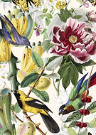 2024-01-02/741342da8e1a9b7f5257187a94282943_fdb4a92f6590d5e3abd58bb06bcac6b9