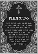 2024-01-03/231d3772247c385d5ff95fc3842113b2_9d74f2d140f991b99ff4af876d095f36