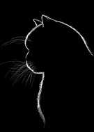 2024-01-04/c80755f3c1b0737846ffc115dba74641_403194f1a0c7dd11a9dba2a441ec2cfe