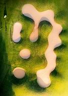 2024-01-05/58ca5c50d1c4ae125bcaa043804578c2_e577a8fa4ef24ccfb4f157fff41840cb