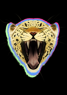 2024-01-16/26156217ff8121d616b14e93e7b124fc_4fe8c61117b1ef1c2190579ed0ec79fa