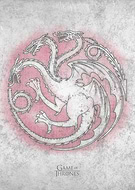 collection-preview-1